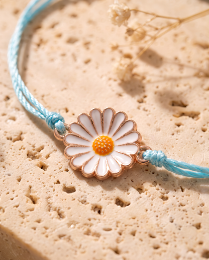 Chrysanthemum Lullaby white flower close-up