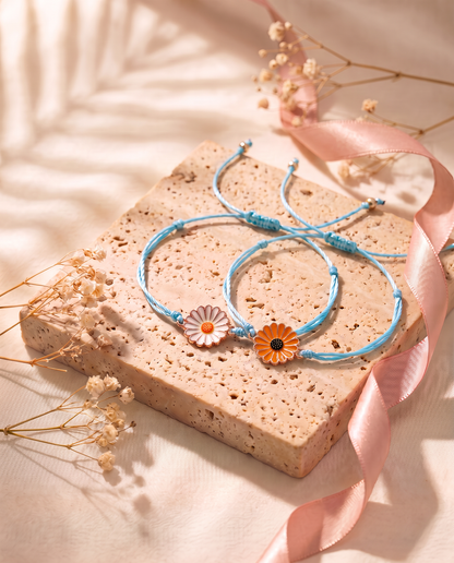 Chrysanthemum Lullaby white and orange daisies side by side